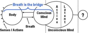 yoga-breath-bridge