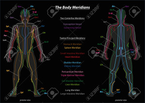 Meridian System Description Chart Black